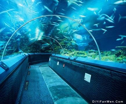海洋水族館圖片