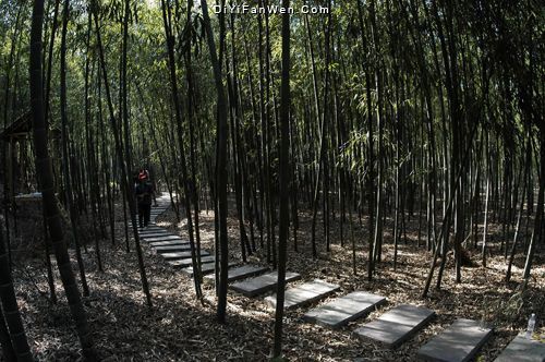 日照竹洞天圖片