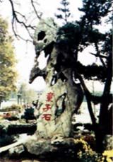 玄武湖公園圖片