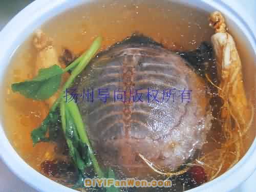 壽星水魚