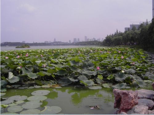 南京玄武湖圖片