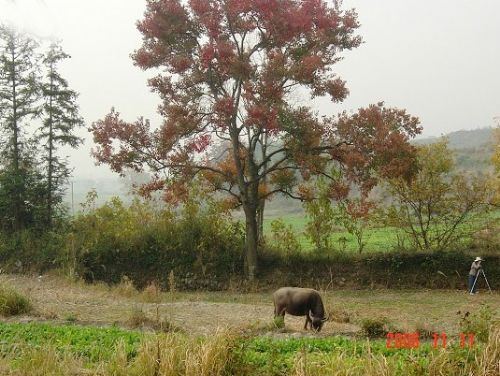 塔川之旅圖片