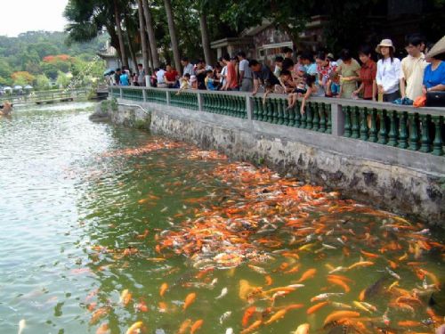 七星岩圖片