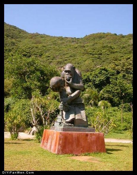 海南猴島圖片