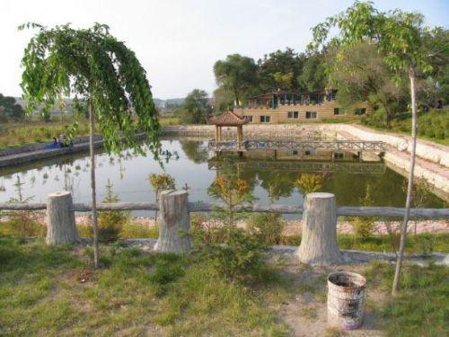 雙陽吊水壺圖片