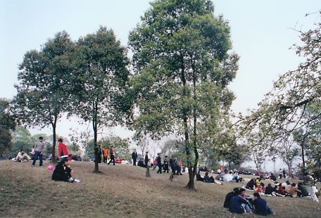 南山植物園圖片