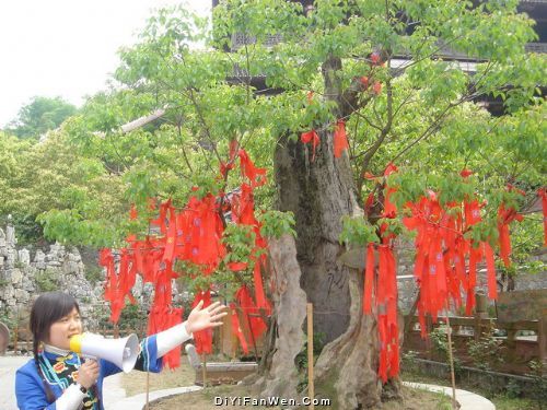 湘西土家風情園圖片
