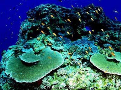 北海海底世界圖片