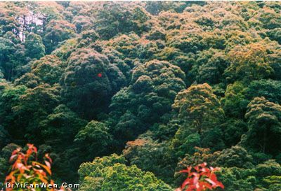 官山自然保護區圖片