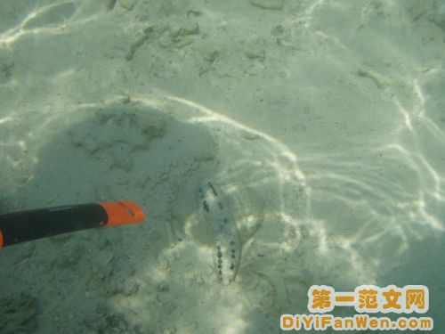 海南三亞圖片