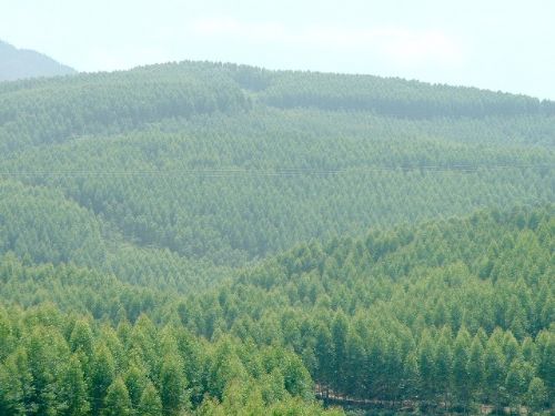 掛馬林海風景圖片
