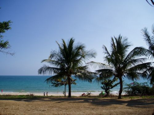 小梅沙海濱旅遊中心圖片