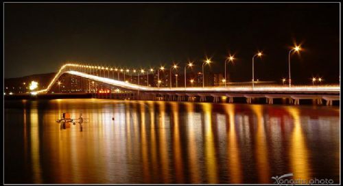 夜闖賭城圖片