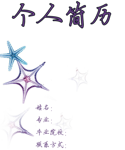 政治專業個人簡歷封面