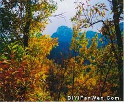 蒙山國家森林公園圖片