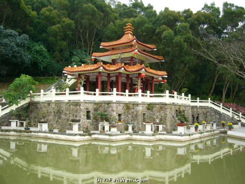 仙湖植物園圖片