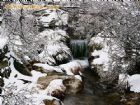 冰天雪地廬山戀