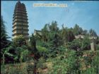 小雁塔