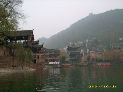 鳳凰風情圖片