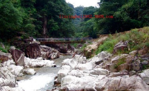 南崑山國家森林公園圖片