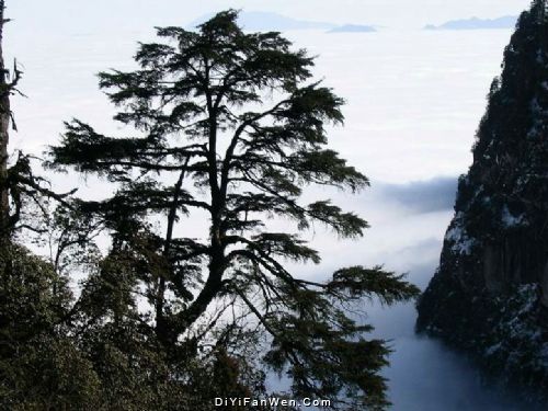 四川瓦屋山圖片
