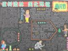 植樹節黑板報：紐約城市綠化經驗
