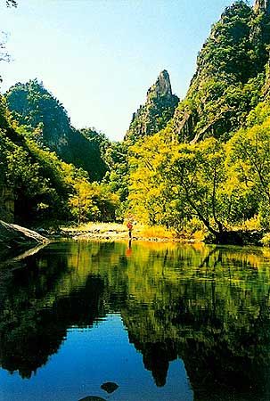 老界嶺風景區圖片