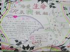 珍愛生命手抄報：珍愛生命 把握現在