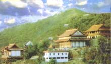 新洲圖片