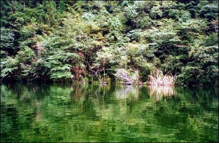 寶峰湖圖片