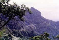 燕子埡圖片