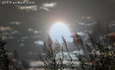 西湖平湖秋月（舊十景）圖片