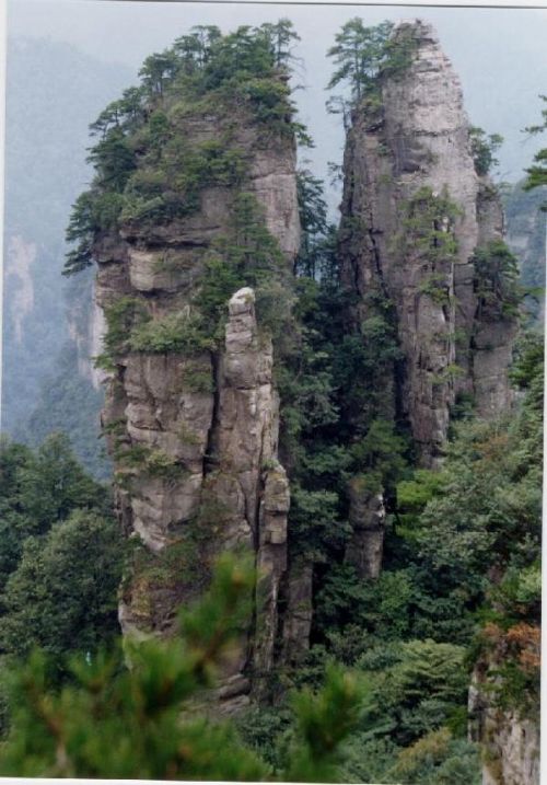腰子寨圖片