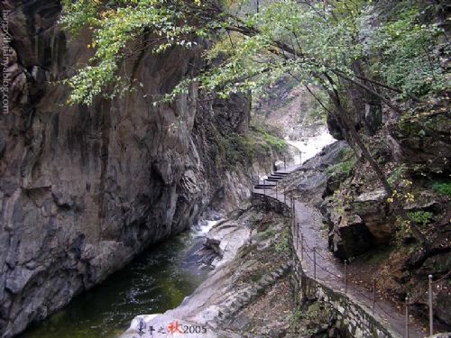 太平峪森林公園圖片