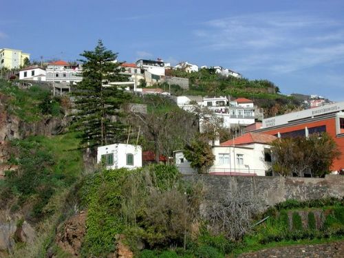 葡萄牙馬德拉群島圖片