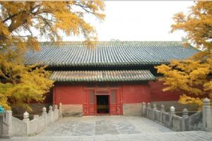 北京大覺寺組圖（4）圖片