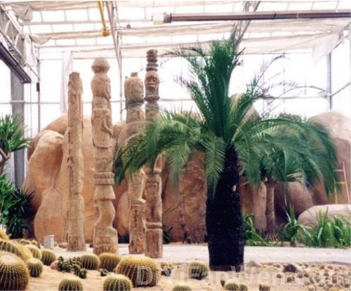 天津熱帶植物觀光園圖片