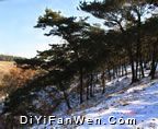 馬陵山風景區圖片