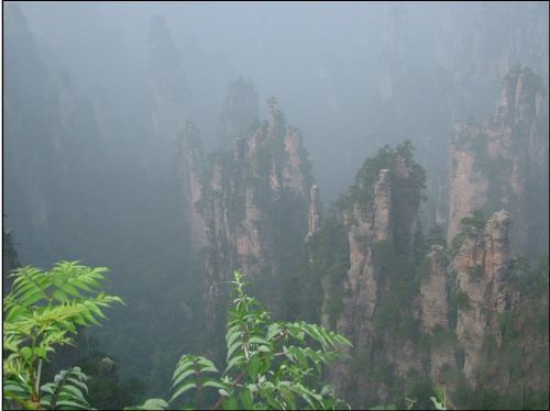 沼池圖片
