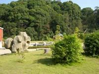 三明格氏栲國家森林公園圖片