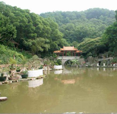 深圳仙湖植物園圖片