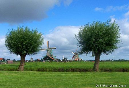 荷蘭鄉村風光圖片