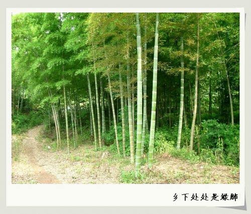 南湖圖片