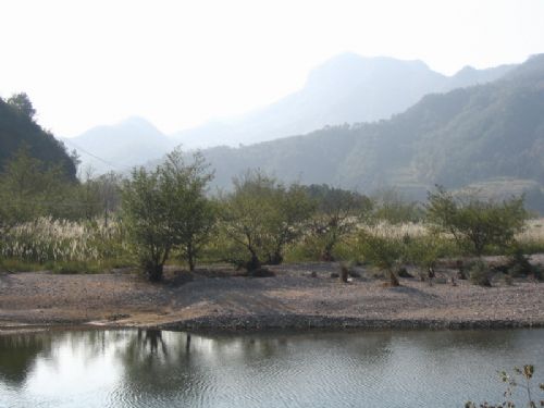 台州仙居圖片