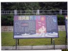 共青團團委黑板報設計