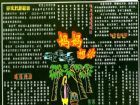 母親節黑板報：黑板報內容倡議書