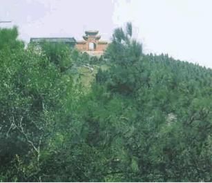 白兆山旅遊風景區圖片
