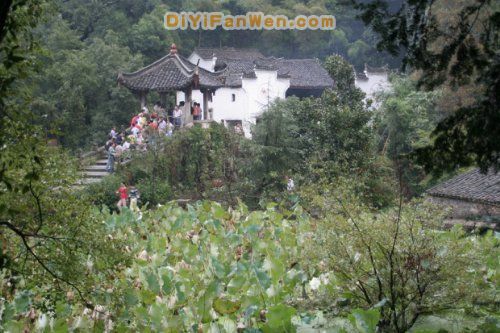 括蒼山圖片