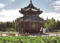 古蓮花池圖片