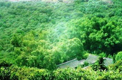 洞庭西山羅漢寺圖片